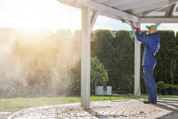 Best House Exterior Washing  in The Colony, TX